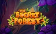The Secret Forest