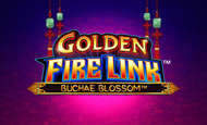 Golden Fire Link Buchae Blossom
