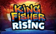 Kingfisher Rising