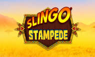 Slingo Stampede