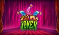 Wild Wild Joker