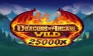 DRAGONS OF ARCANE WILD