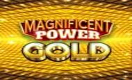 Magnificent Power Gold
